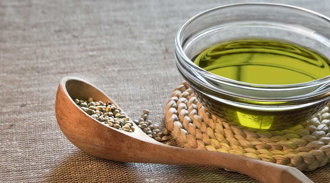 Por qué incluir Aceite de Semillas de Cáñamo en la dieta de tu mascota