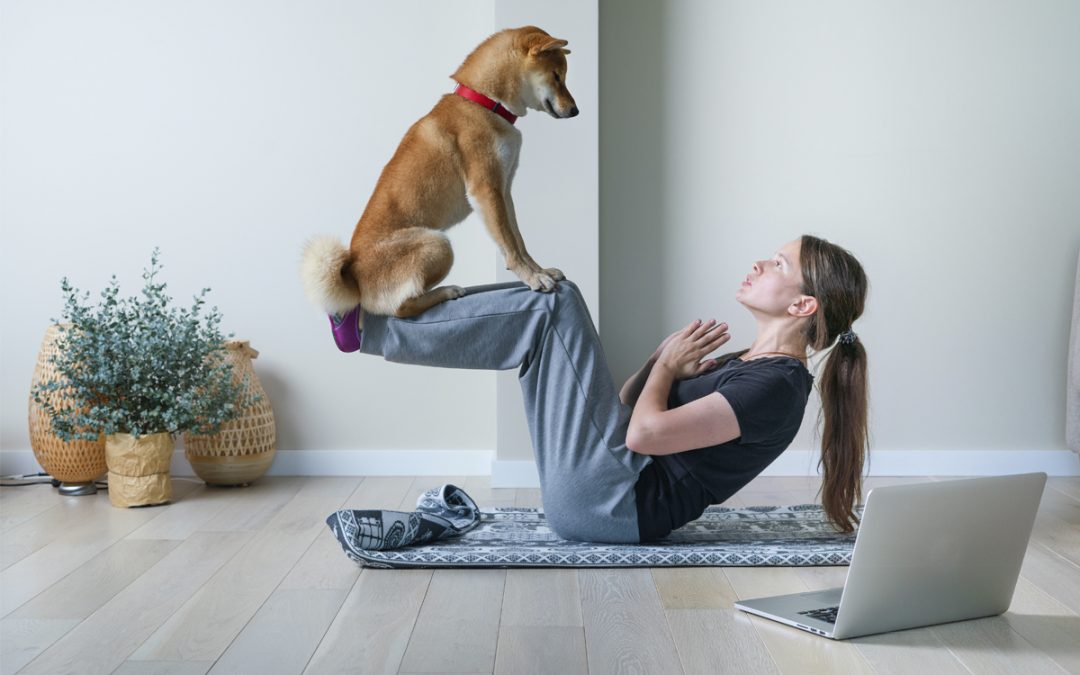 Doga: los perros también hacen yoga