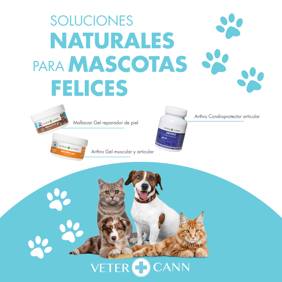 VETERCANN Cannabis para mascotas
